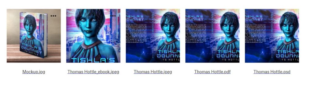 Tishla's Journey covers and mockup from GetCovers.com